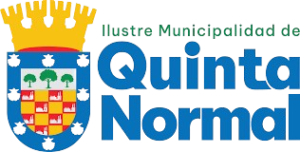 Logo Voluntariado Juvenil de Quinta Normal