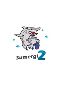 Logo Fundación SUMERGI2